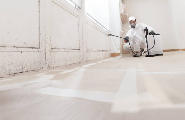 24/7 Emergency Black Mold Remediation experts in Silver Spring, MD