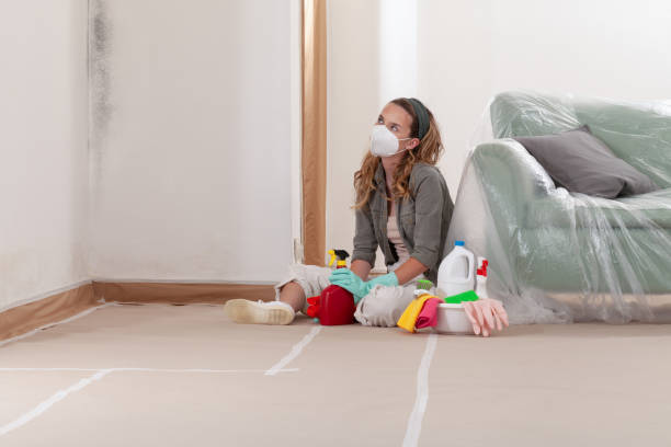 Reliable Black Mold Remediation contractor in Silver Spring, MD by Car Mold Remediation